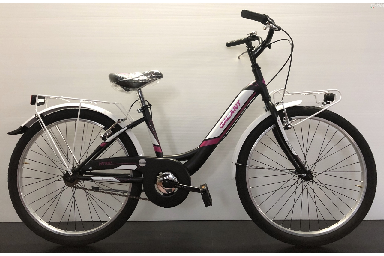 GALANT VENERE 24 1V 4 GALANT VENERE 24 1V - immagine 2